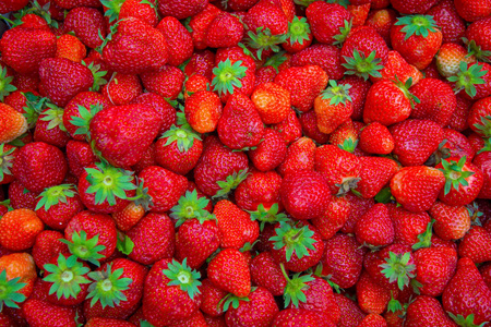 很多大，明亮，多汁，美丽草莓