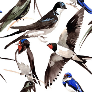 天空的鸟燕子图案在野生动物的水彩风格
