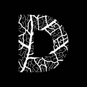 使用叶静脉图案白色填充的性质字母表生态装饰字体大写字母 d照片