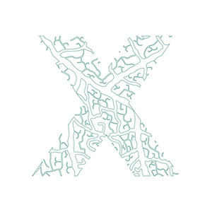 自然字母表生态装饰字体大写字母 X 满满的叶静脉模式绿色