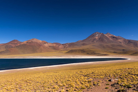 Miscanti 湖 拉古娜 Miscanti 与周围的山脉和火山在阿塔卡马沙漠