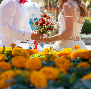 新娘和新郎手持玫瑰结婚花束