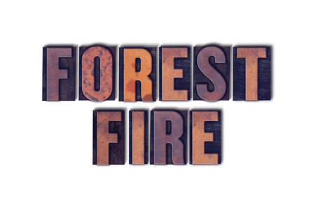 森林火灾概念隔离活版字图片