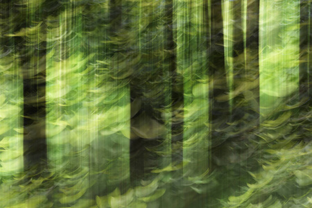 抽象运动模糊, 树干和离开, 黄色绿色的背景
