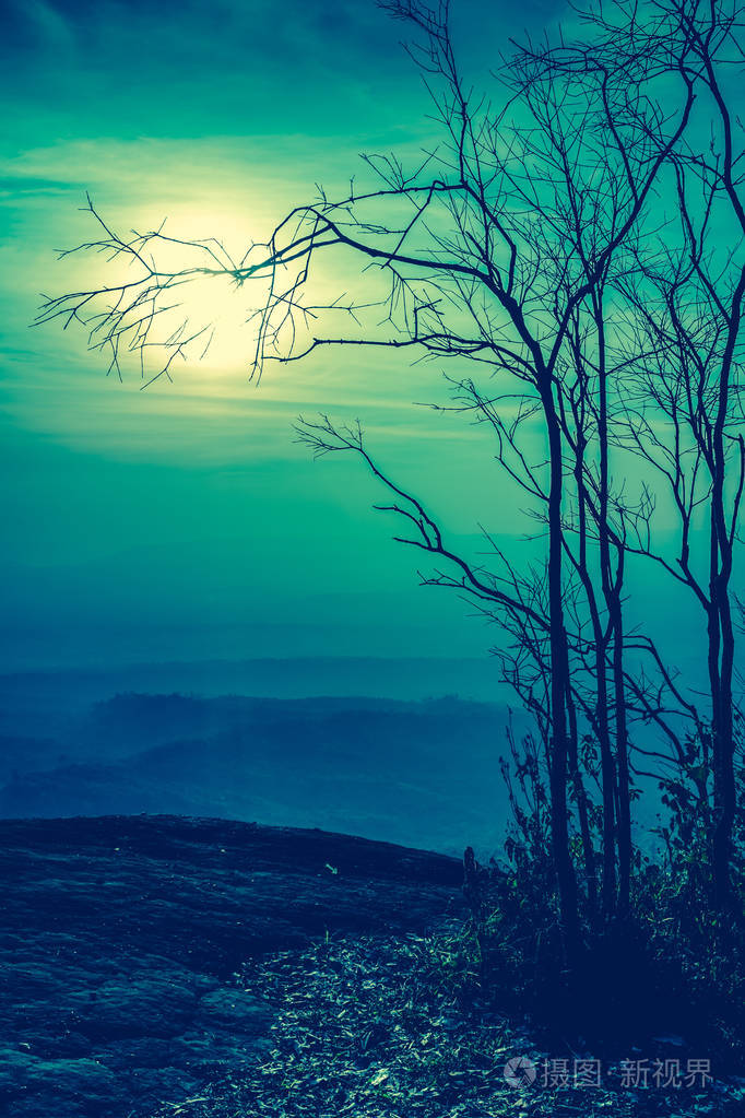 夜晚景观的天空与超级月亮背后的死树的剪影