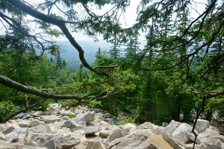 景观 山脉 天空 森林 石头