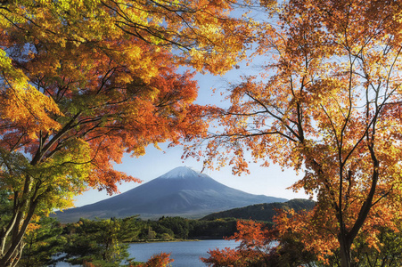 富士山在秋天