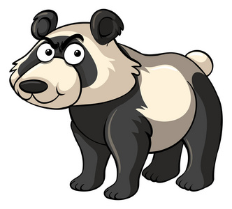野生大熊猫与张生气的脸