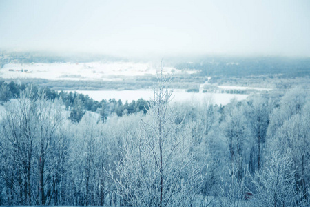 美丽的森林景观的一个飘雪挪威冬季的一天