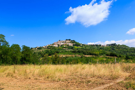 Motovun，伊斯特拉。克罗地亚