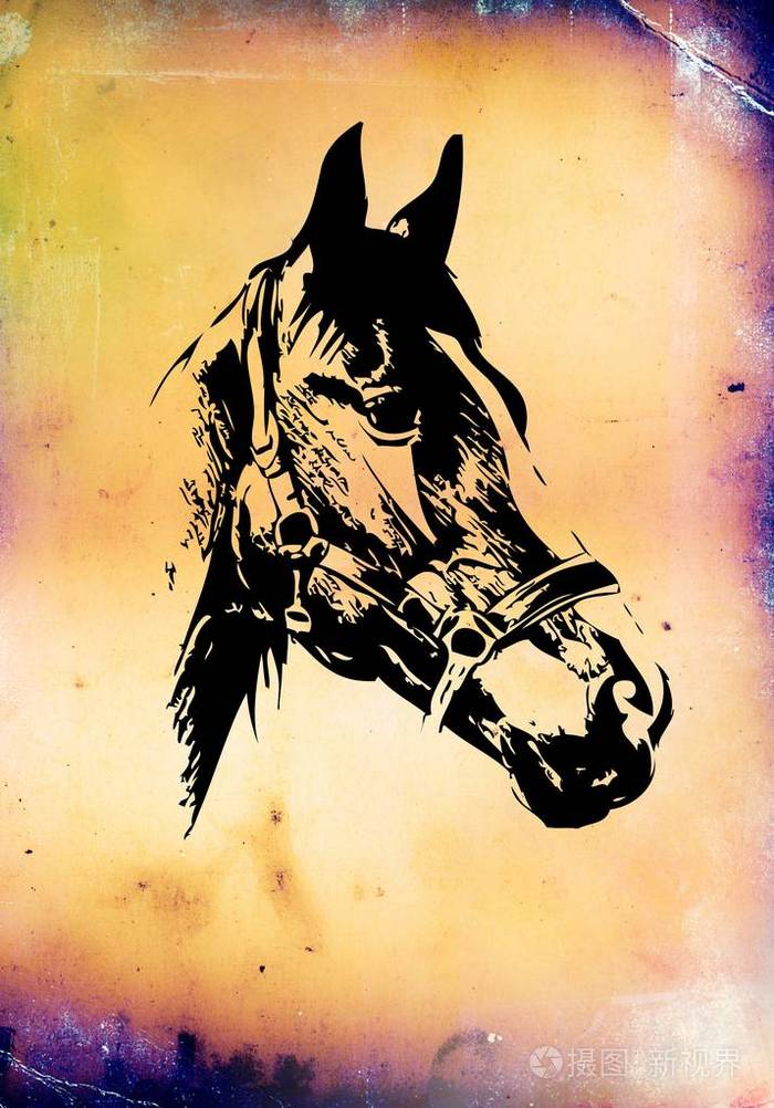 手绘马头铅笔素描