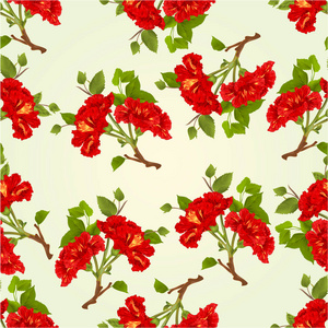 无缝纹理分支红芙蓉热带花上一个老式的白色背景矢量植物插图