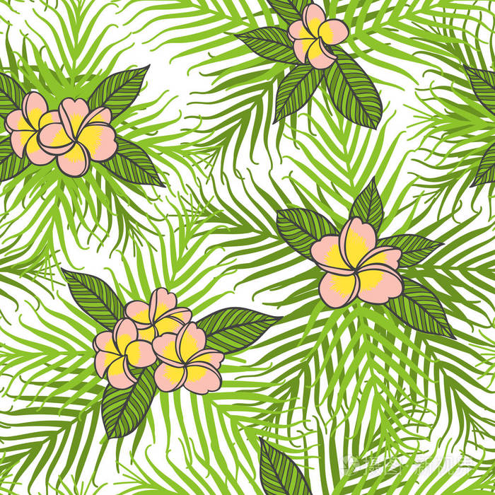 热带的鸡蛋花粉红色的花朵图案矢量