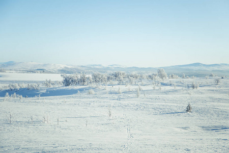 在挪威的冬日雪冰冻平原一道亮丽的风景
