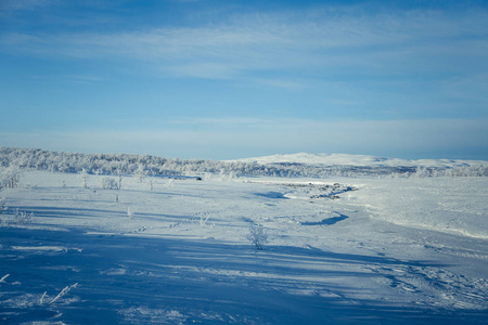 美丽的白色风景的一个飘雪挪威冬季的一天