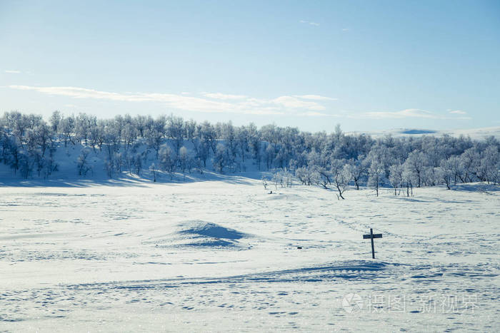 美丽的白色风景的一个飘雪挪威冬季的一天