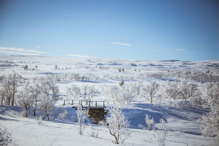 美丽的白色风景的挪威下雪天的与小的木制小桥