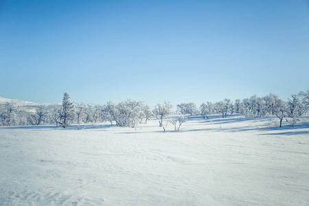 在挪威的冬日雪冰冻平原一道亮丽的风景