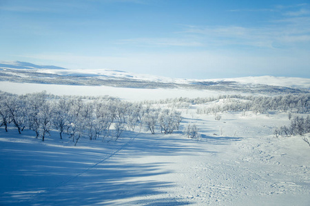 一个飘雪美丽白色景观与滑雪挪威冬季天跟踪
