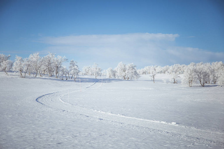 挪威冬季天与轨道为雪地车或狗拉雪橇雪美丽的白色风景