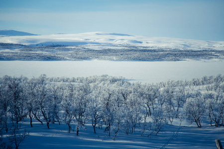 冬季飘雪雪花图片