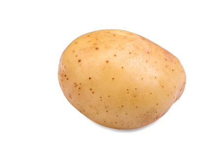 健康 成熟和原始的年轻土豆，孤立在白色背景上的特写照片。夏天收获的蔬菜。单新土豆