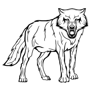 野狗耳朵图片-野狗耳朵素材-野狗耳朵插画-摄图新视界