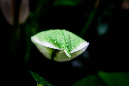 雨和滴