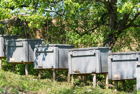 木制蜂箱零件图片
