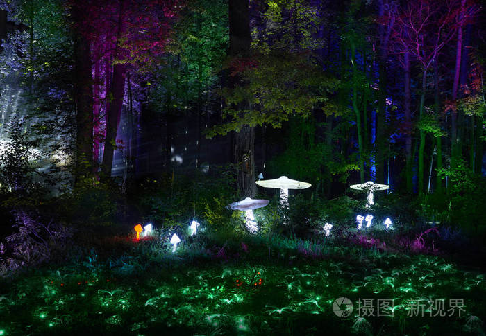 数以百计的灯在森林里.