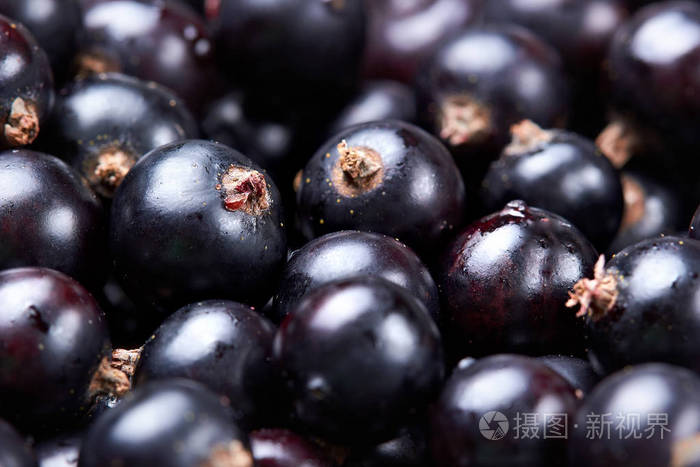 黑穗醋栗新鲜的浆果丰收的果实closeuoselective焦点