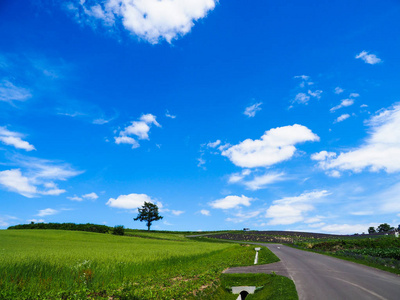 北海道风景摄影图 北海道风景图片大全 北海道风景照片 摄图新视界 北海道风景摄影图 北海道风景图片大全 北海道风景照片 摄图新视界