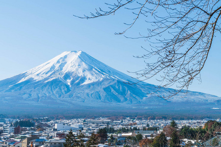 在河口湖山富士 San