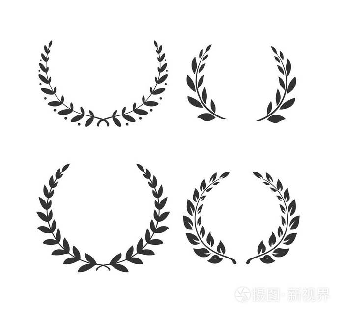 设置的孤立矢量轮廓的橄榄花环枝具放置文本插画-正版商用图片0ywdgw