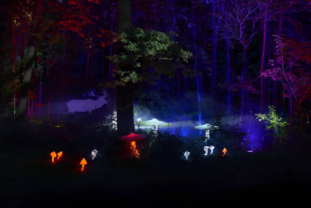 夜间灯光显示中奥斯坦金诺花园城市公园的灵感。数以百计的灯在森林里。令人惊异的 3d 光和激光照射树木蘑菇草浆果。鹿的影子的形
