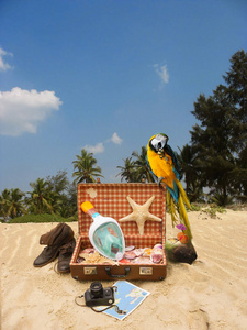 一个老式的手提箱在沙滩上，在它贝壳和浮潜面具都是你希望看到在度假