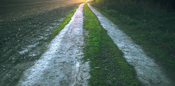 湿的乡间泥泞的小路