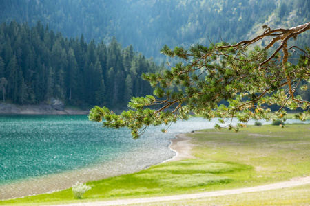 黑湖 Crno 湖，公园杜尔米托尔 黑山