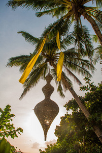 美丽的棕榈树映衬在蓝天。长滩岛，菲律宾