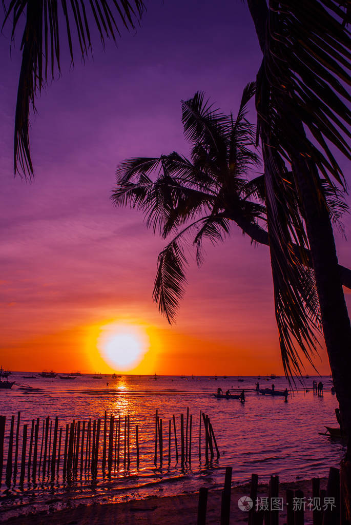 在天空背景上的棕榈树.白色的沙滩.长滩岛.菲律宾