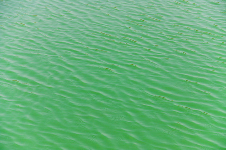 绿水波
