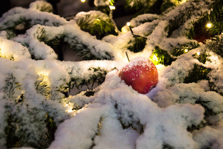 圣诞树与雪, 灯和苹果