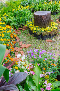 在家里的花园里