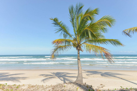 巴西东北部伊塔卡雷巴尼亚州壮观而令人印象深刻的天堂海滩
