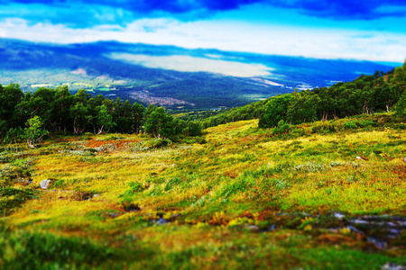 经典挪威山地森林风景背景