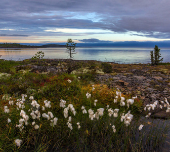 白夜 白夜素材图片 白夜图片素材下载 摄图新视界xsj 699pic Com