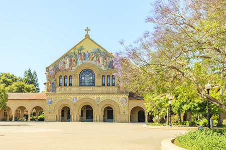 斯坦福大学保罗  阿尔托