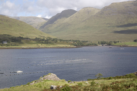 基拉里峡湾湖Leenane，康尼马拉戈尔韦