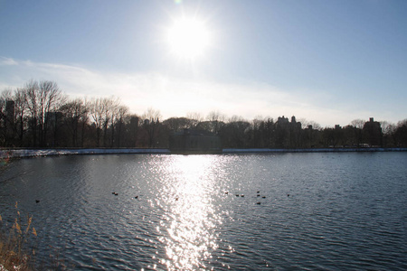 中央公园的太阳反射在湖面上图片