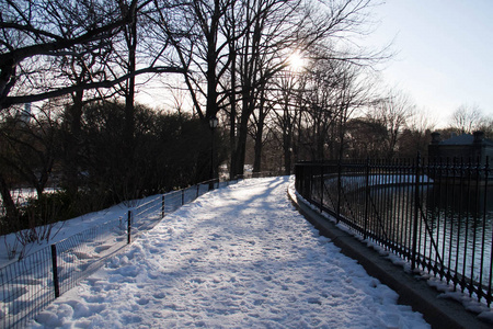 公园围栏附近的雪和人行道上的树木剪影